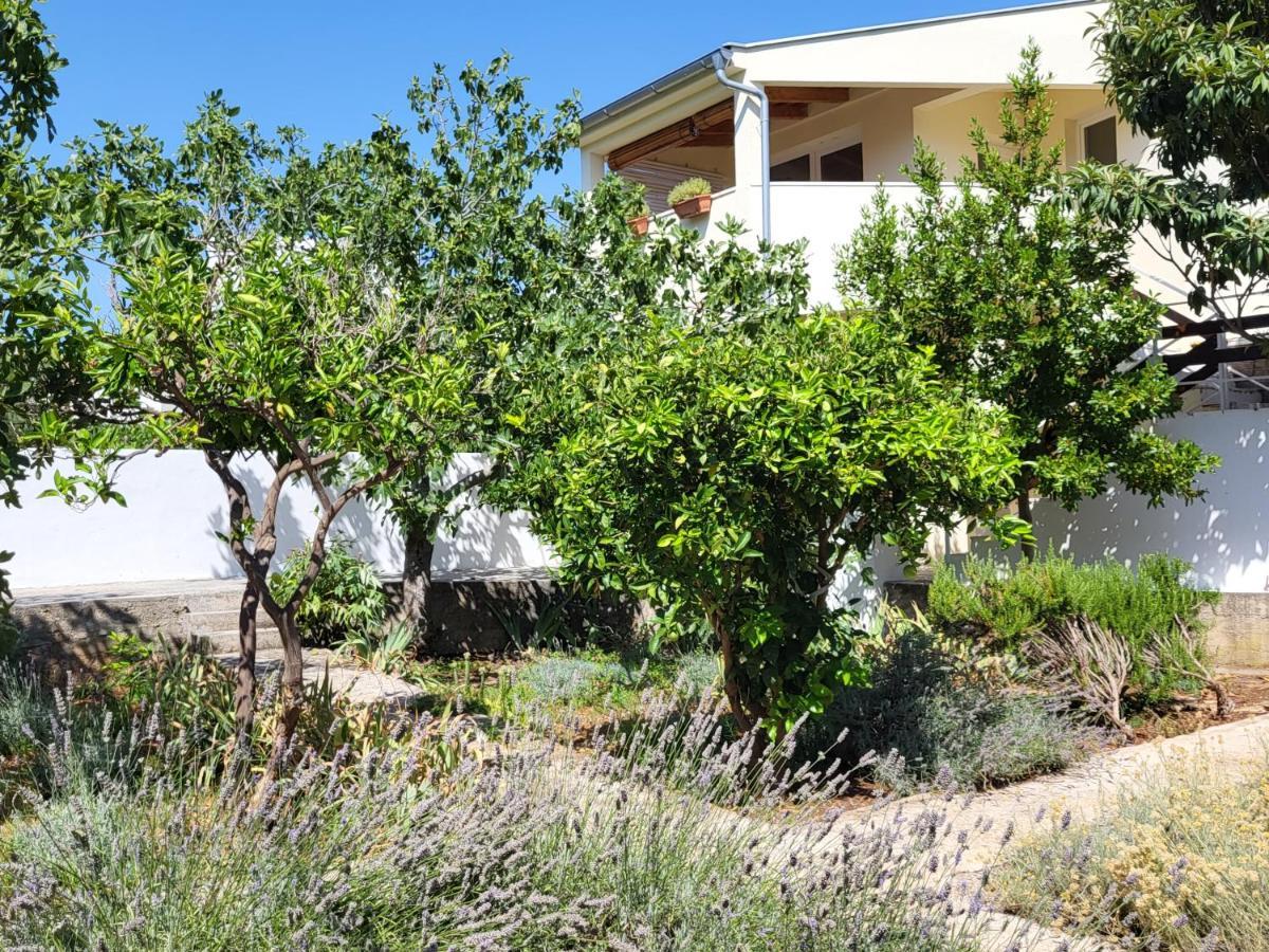 Lavender Garden House Villa โรกอซนิซา ภายนอก รูปภาพ
